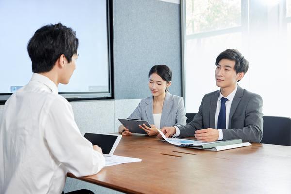 《探究两个公司股东的构成：企业经营与合作之道》 图1