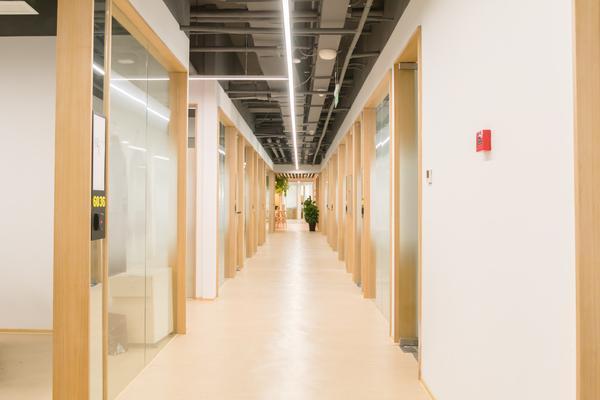 公司股东人数: 探讨科技有限公司的成功之道 图1