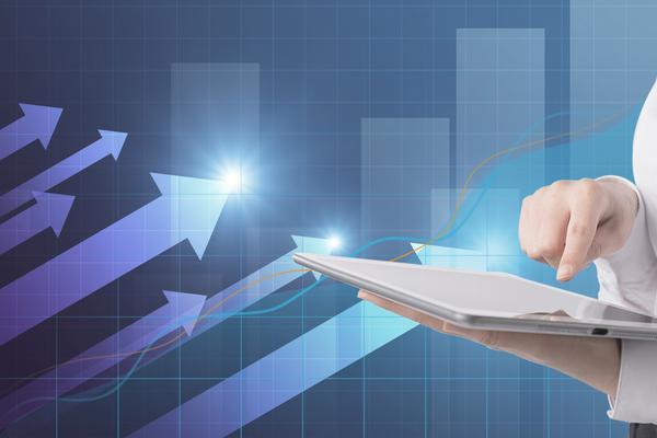 公司股东要求财务数据公开：信息透明与权益保障 图1