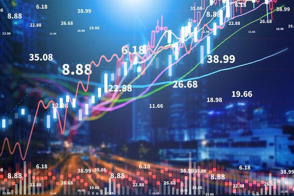 股份公司股东构成解析：探究公司治理与股权分布 图2