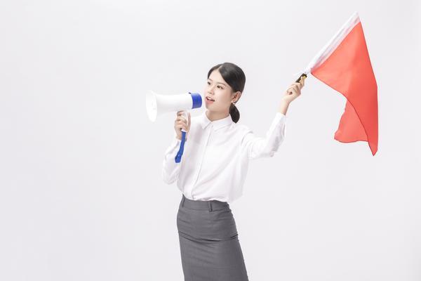 导游因不当言论被立案调查：旅游执法与游客权益保护 图1