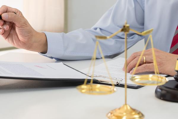 辽宁政务服务网助力企业设立公司，实现高效便捷服务图1