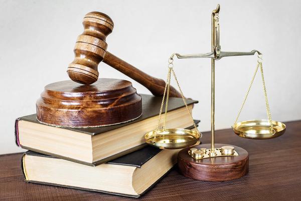 关于公司股东期末借款的详细报告图1