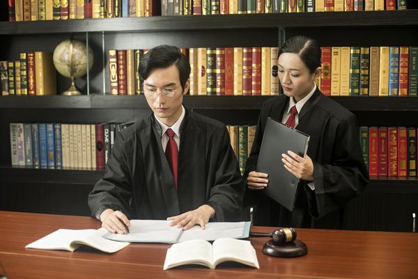 新区外商投资企业协会：外商权益保护与法律服务的专业平台 图2