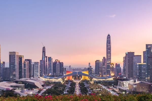 房地产私有公司类型解析及法律合规要点 图1