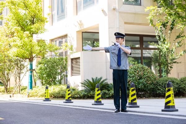 《宠物与小主人争宠导致伤害：宠物安全的警钟敲响》 图2