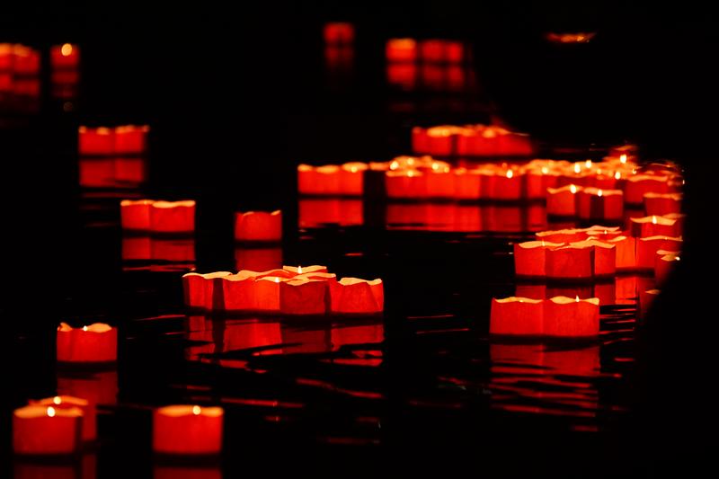 有限公司股东死亡股权怎么办 图1